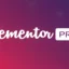 Elementor PRO